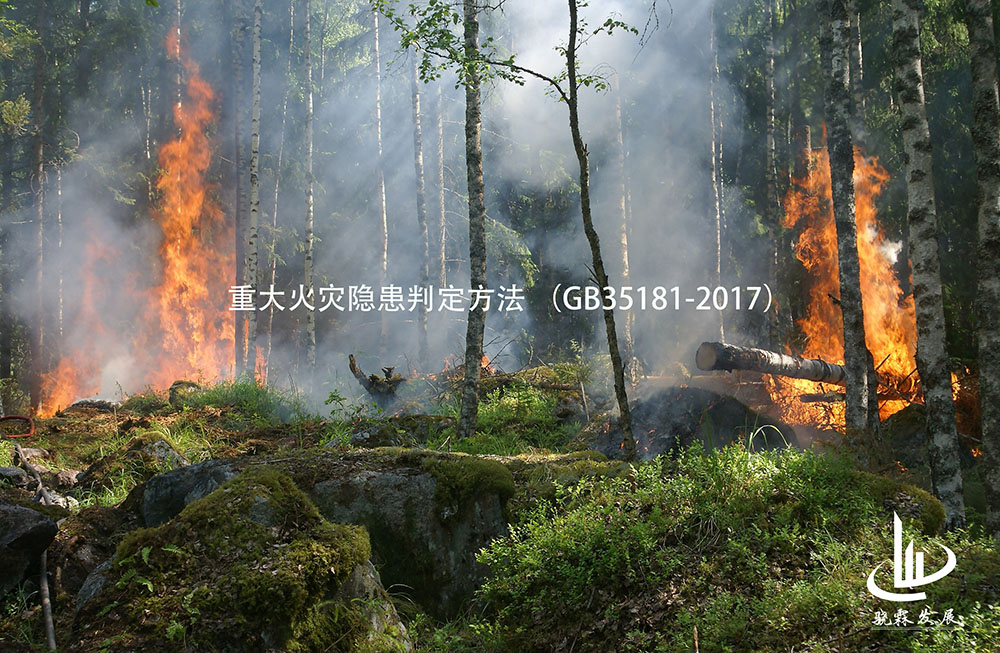 重大火灾隐患判定方法 （GB35181-2017）