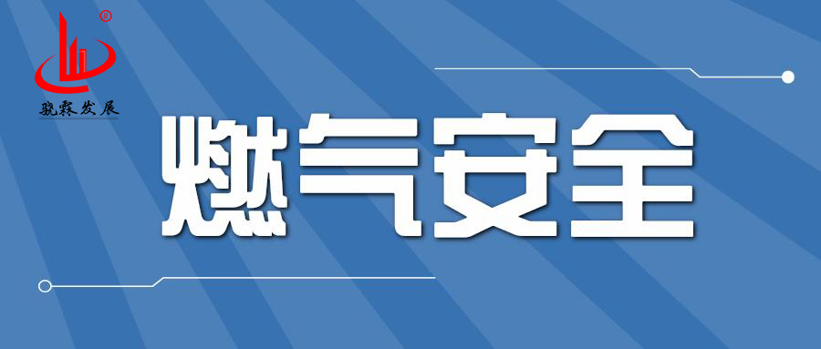 全国城镇燃气安全专项整治燃气管理 部门专项方案